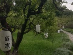 -白马涧龙池景区