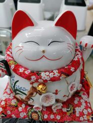 -VE专注问题肌·赛诺龙&科学美肤中心