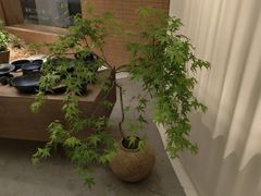 -洪小鹏生活美学馆(领SHOW天地店)