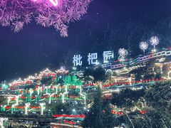 -枇杷园食为鲜火锅(南山店)