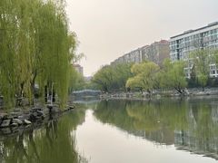 -三忘湖 SWANSEEN(柳荫公园店)