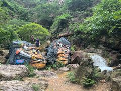 -南海湾森林生态园
