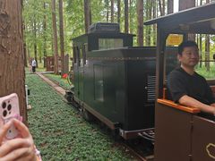 -黄海国家森林公园