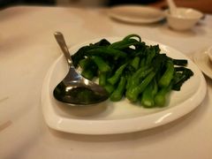 -詠春园