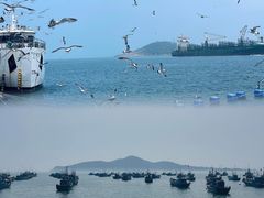 -海驴岛(荣成市)