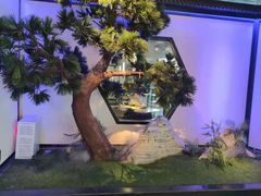 -绿茶餐厅(成都大悦城店)