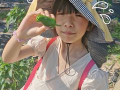 -前小桔亲子创意农场·草莓采摘·露营烧烤