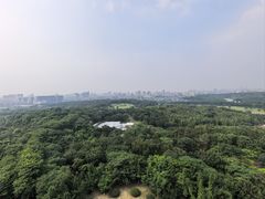 -宜兴龙背山森林公园