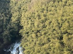 -栾川竹海野生动物园