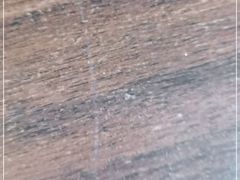 -艾儿思国际幼托园(双井园店)