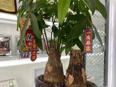 -万达广场(惠州大亚湾店)