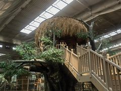 -南宫五洲植物乐园