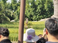 -云南民族村