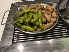 -山野的朋友露营炭火烤肉