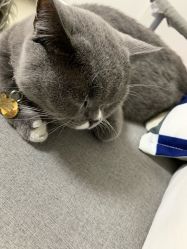 -Pink You美甲美睫纹绣定制中心