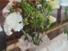 -马克西姆俄罗斯餐厅(绥芬河店)
