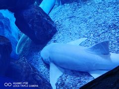 -多彩贵州城极地海洋世界