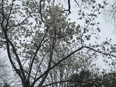 -南京市规划建设展览馆