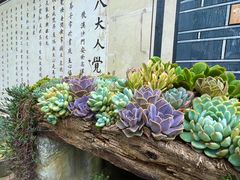 -寂照庵
