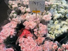 -循礼门鲜花花市(武汉循礼门店)