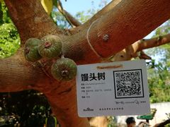 -海南热带野生动植物园