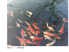 -湖鲜楼