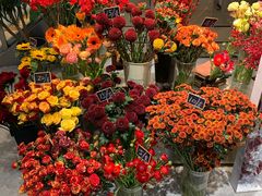 -植物学家的女儿(北马道巷店)