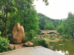 -云溪植物园