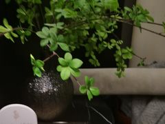 -华夏良子·足道·SPA·艾灸(金皇大厦店)