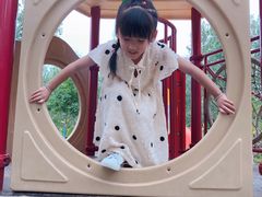 -合肥滨湖国家森林公园