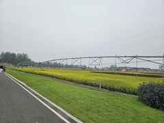 -中国天府农业博览园