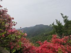 -木兰云雾山