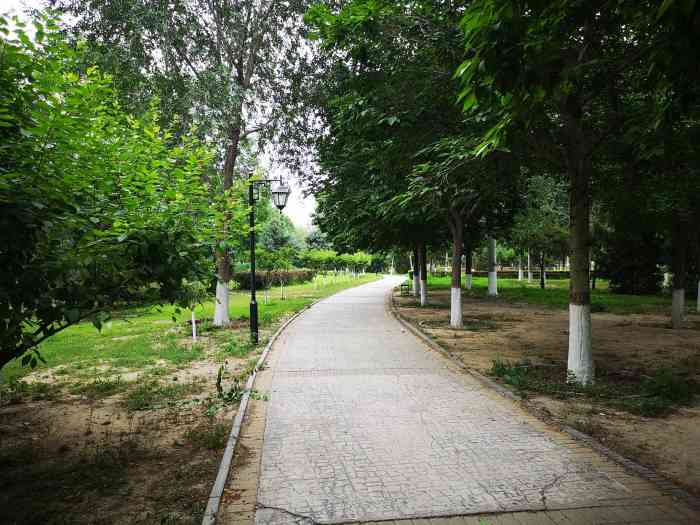 石榴庄公园-"周末的时光总是觉得短暂抓紧时间带97孩.