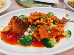 松鼠鲈鱼-西新饭店(城中店)