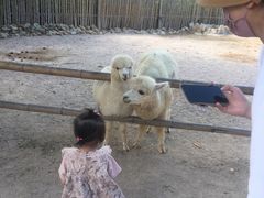 -泉州海丝野生动物世界