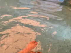 -手佳·水疗汇(嘉益店)