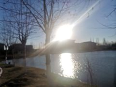 -竹叶涮肉坊(总店)