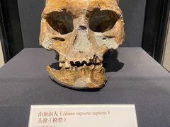 -北京周口店北京人遗址博物馆