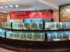 -国龙大酒店-中餐厅