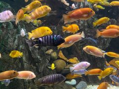 -太平洋海底世界