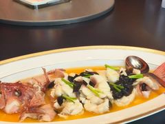 -新光酒家·河豚·海鲜·蟹料理(浦东店)