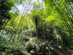 -蜀南竹海景区