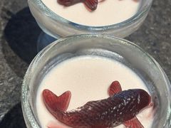 -浩运·海鲜青岛菜·海胆水饺(石老人店)