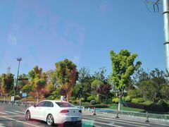 -平湖九龙山旅游度假区