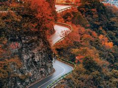 -四明山国家森林公园
