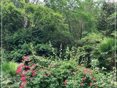-广东天露山旅游度假区