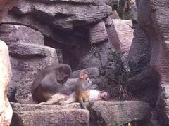 iphone_upload_pic-广州市流溪河国家森林公园