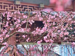 -堤角公园