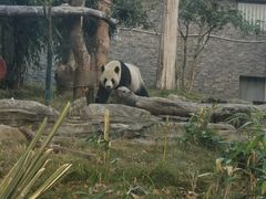 -武汉动物园