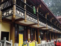 -都江堰普照寺